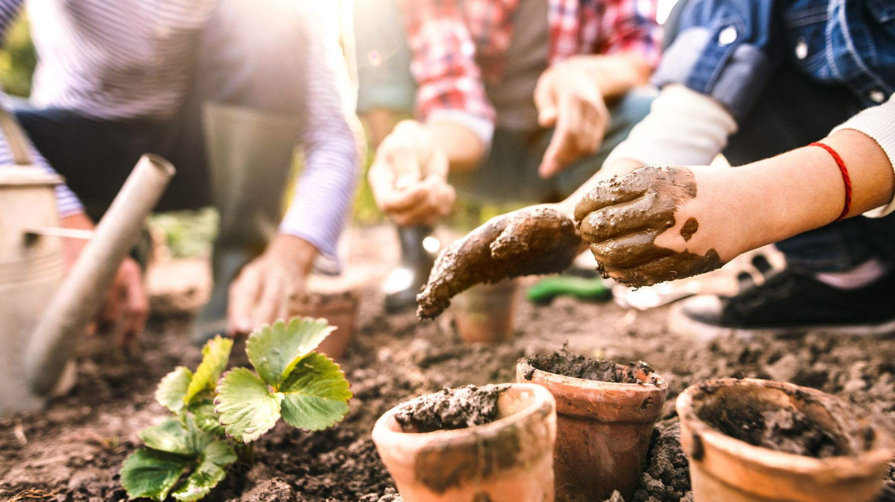 3 Ways Gardening Benefits Your Mental Health