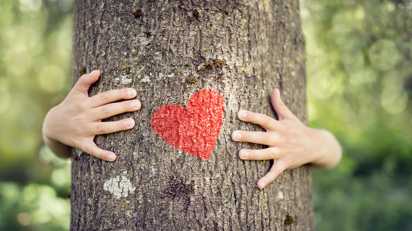 Tree CPR: Critical Steps for Rescuing a Struggling Tree