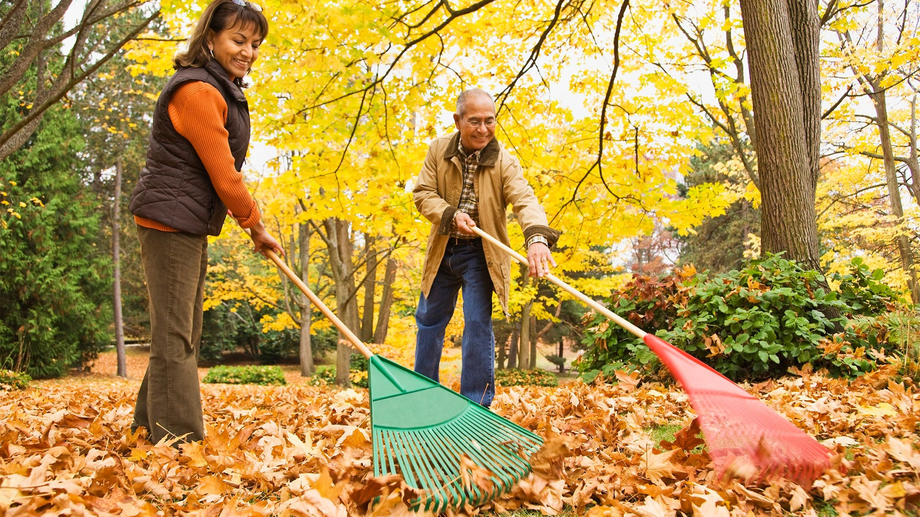 Fall Chores for a Better Spring