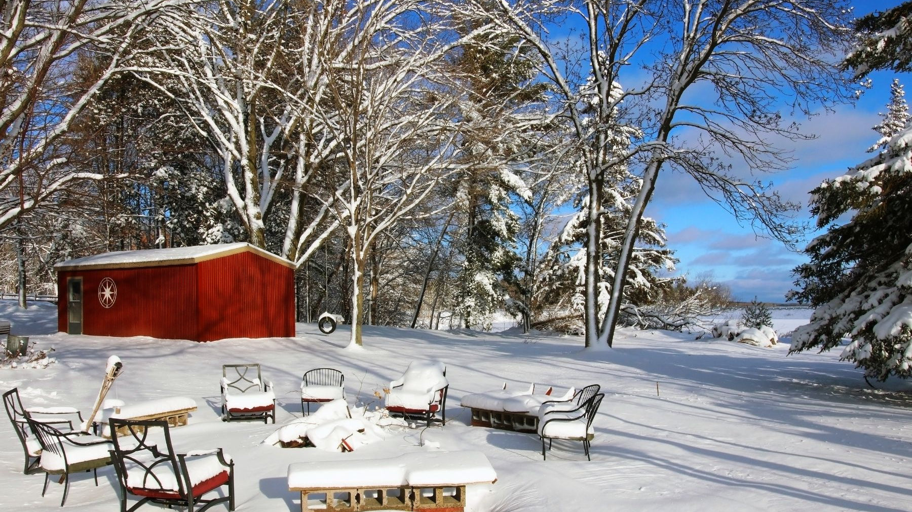 How To Prevent Winter Damage to Your Trees