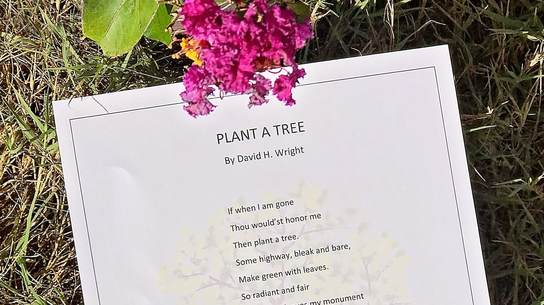 Plant a Tree as Memorial Tribute for Loved One