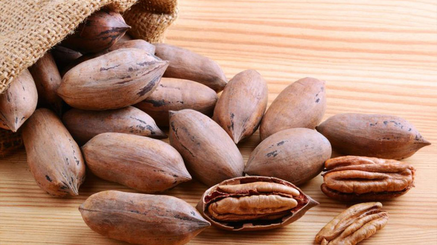 Answers To Frequently Asked Questions About Pecans