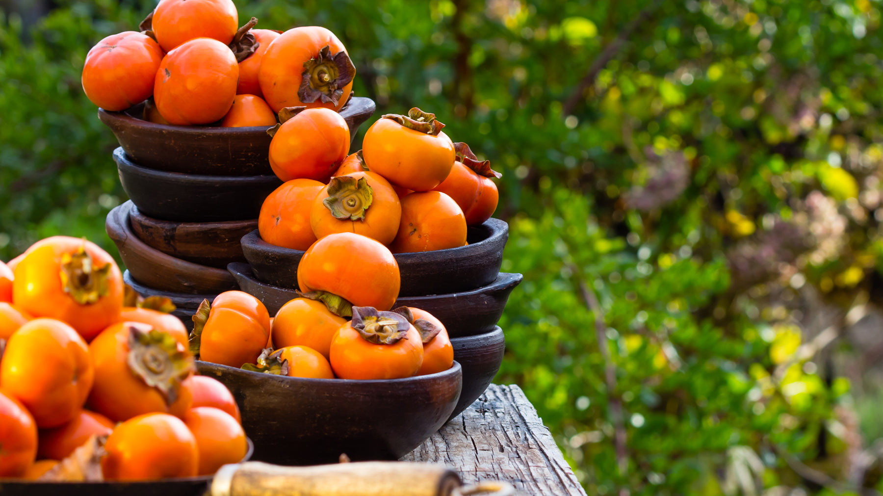 Facts About Persimmon Trees & Fruit