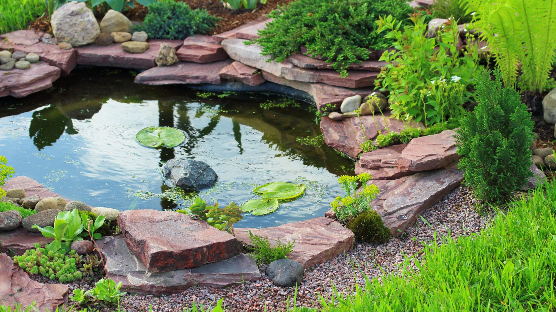 How To Turn Your Backyard Into a Thriving Green Sanctuary