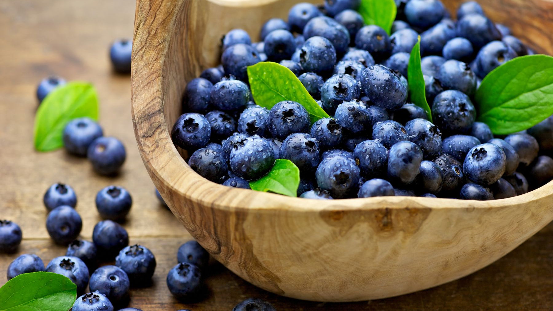 The Ultimate Guide to Successfully Growing Blueberries