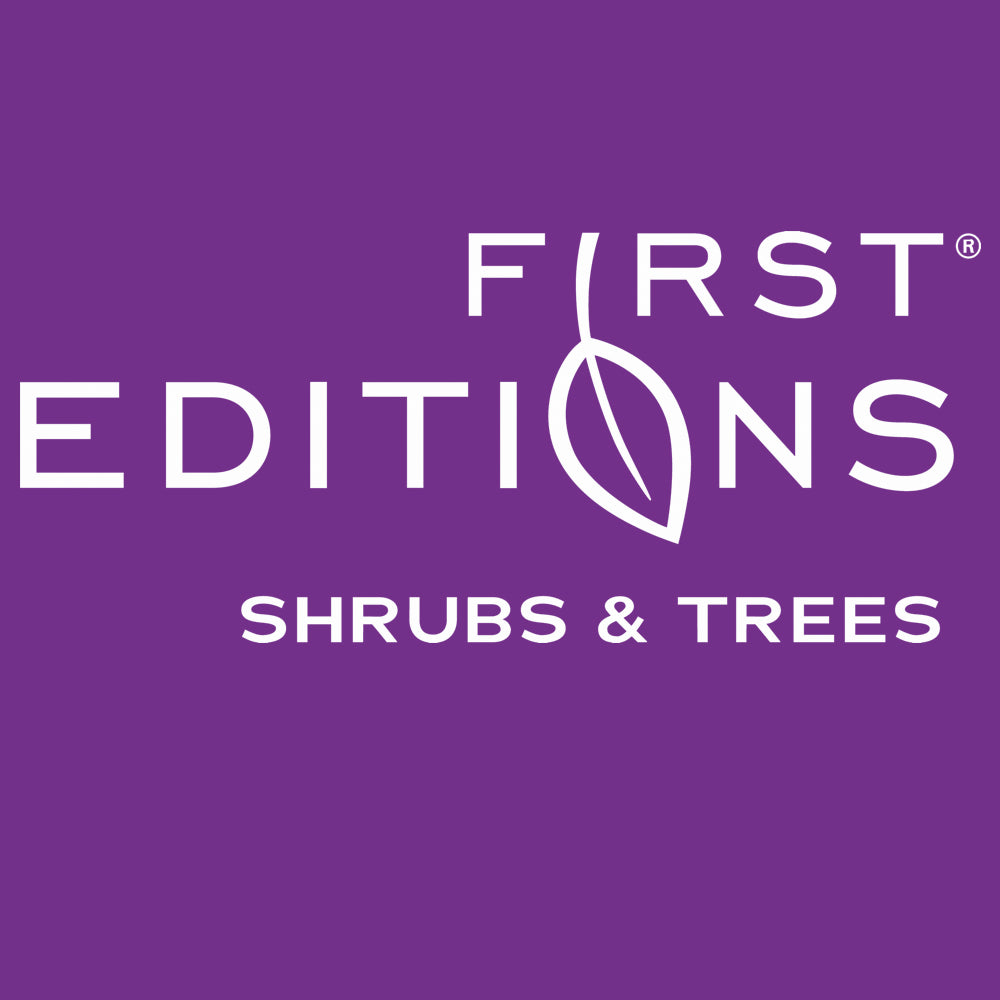 First Editions® Crape Myrtles