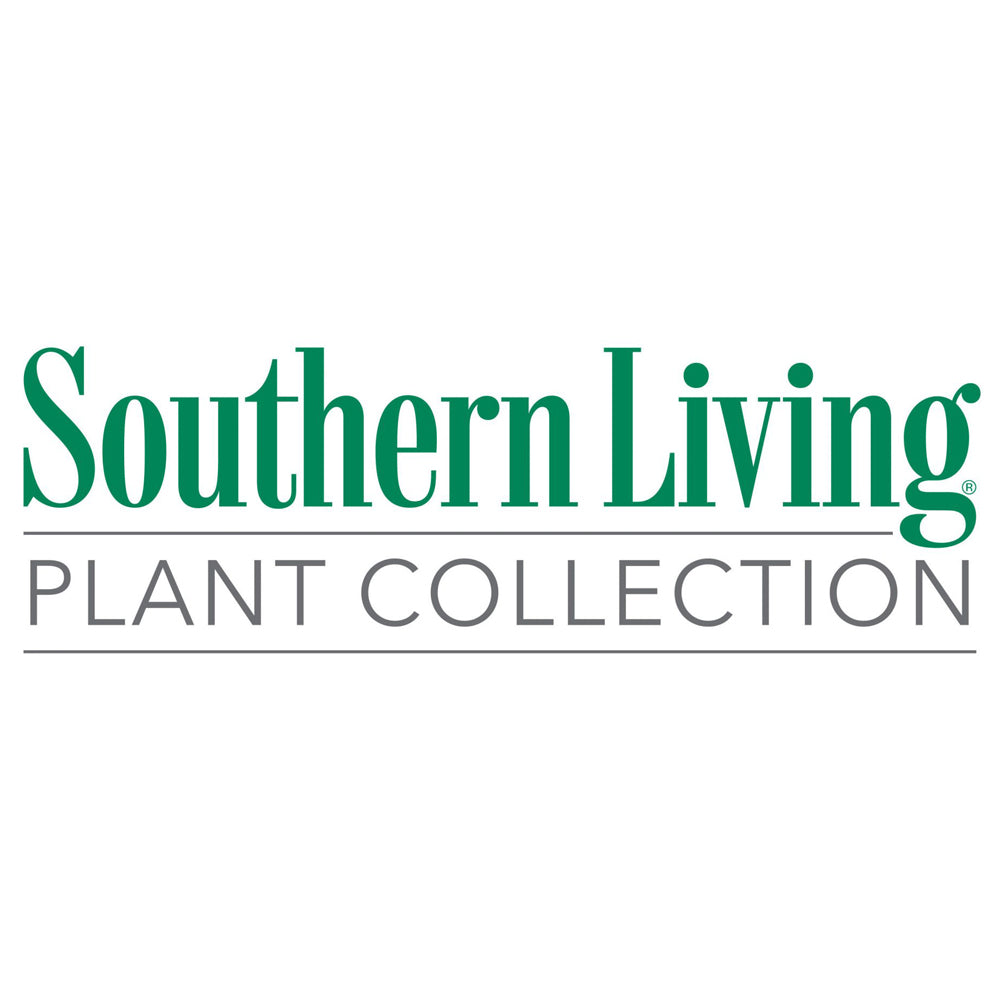 Southern Living® Crape Myrtles
