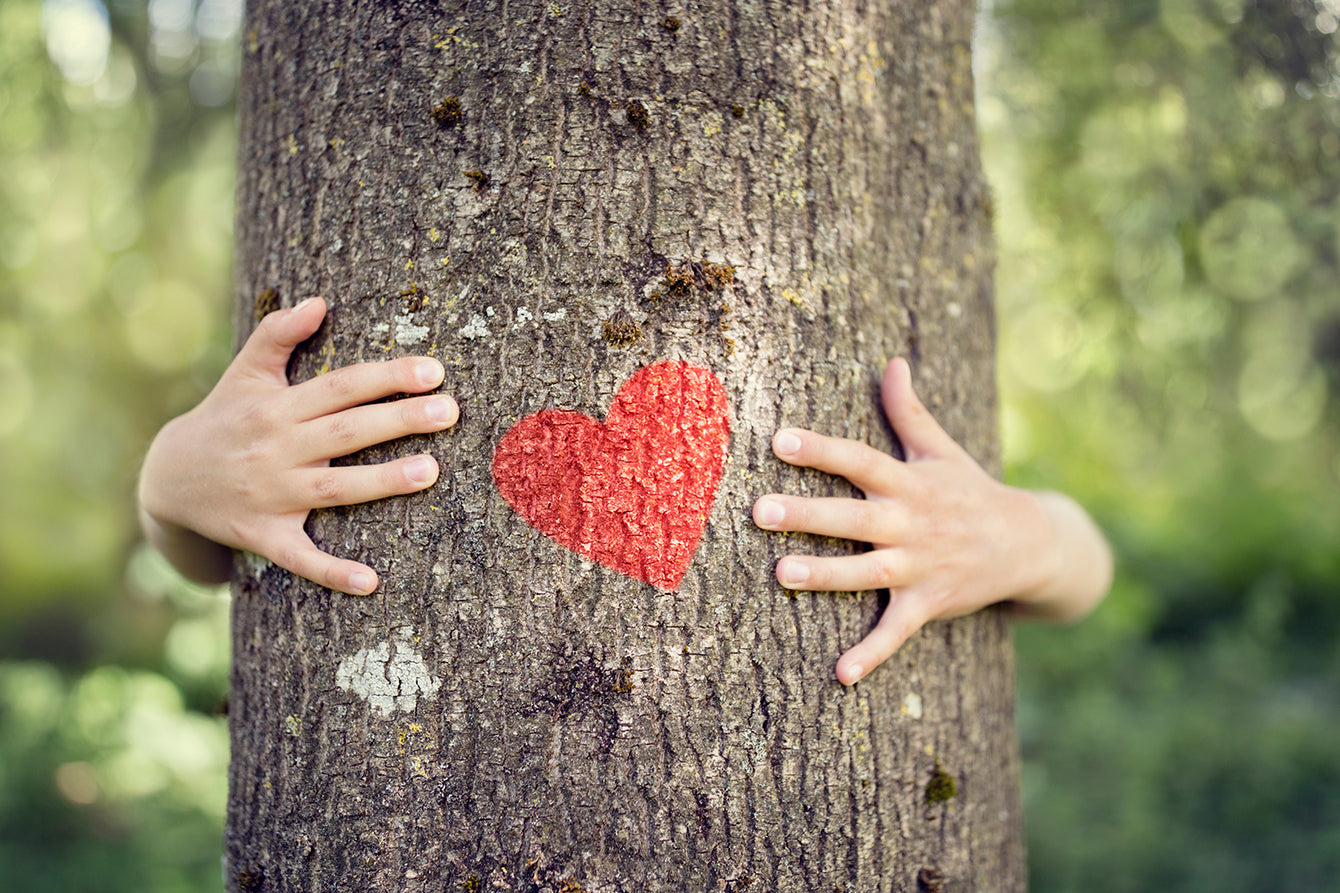 Tree CPR: Critical Steps for Rescuing a Struggling Tree