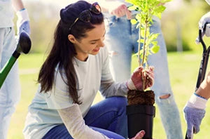 How to plant in summer months