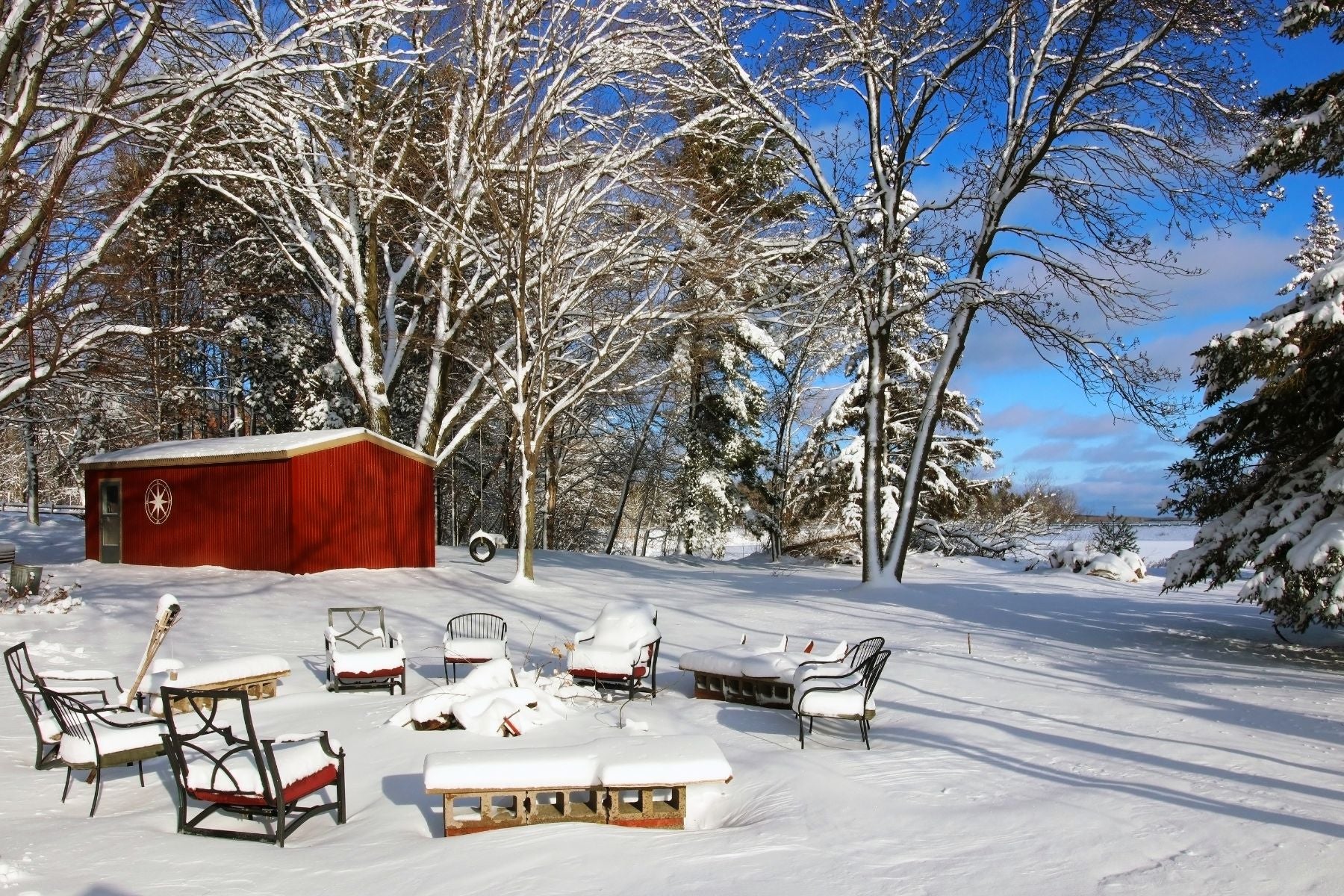 How To Prevent Winter Damage to Your Trees