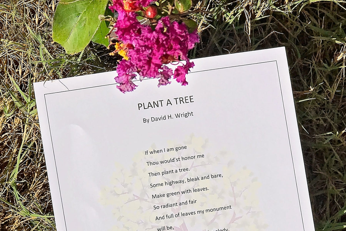 Plant a Tree as Memorial Tribute for Loved One – Plant Me Green