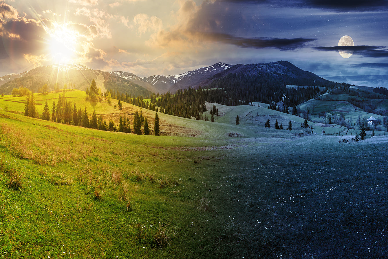 The Spring Equinox: A Time of Renewal and Growth