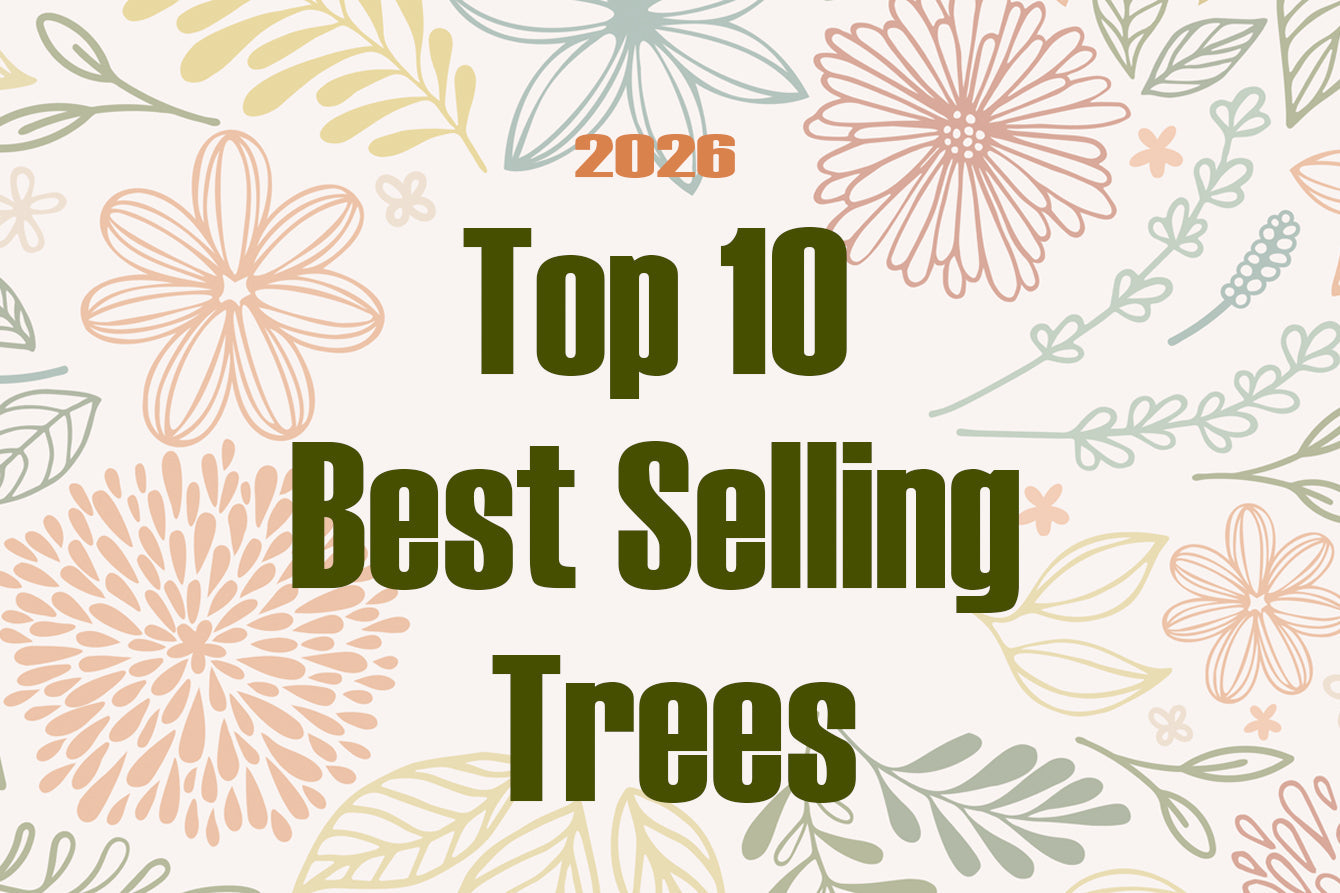 2026 Top 10 Best-Selling Trees & Landscape Plants Right Now