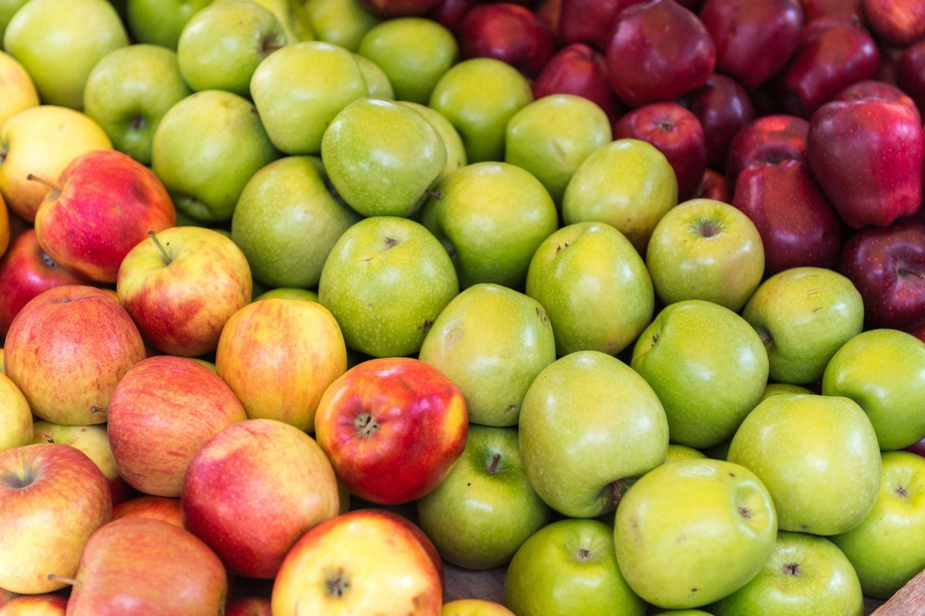 Blog, How Many Types Of Apples Are There