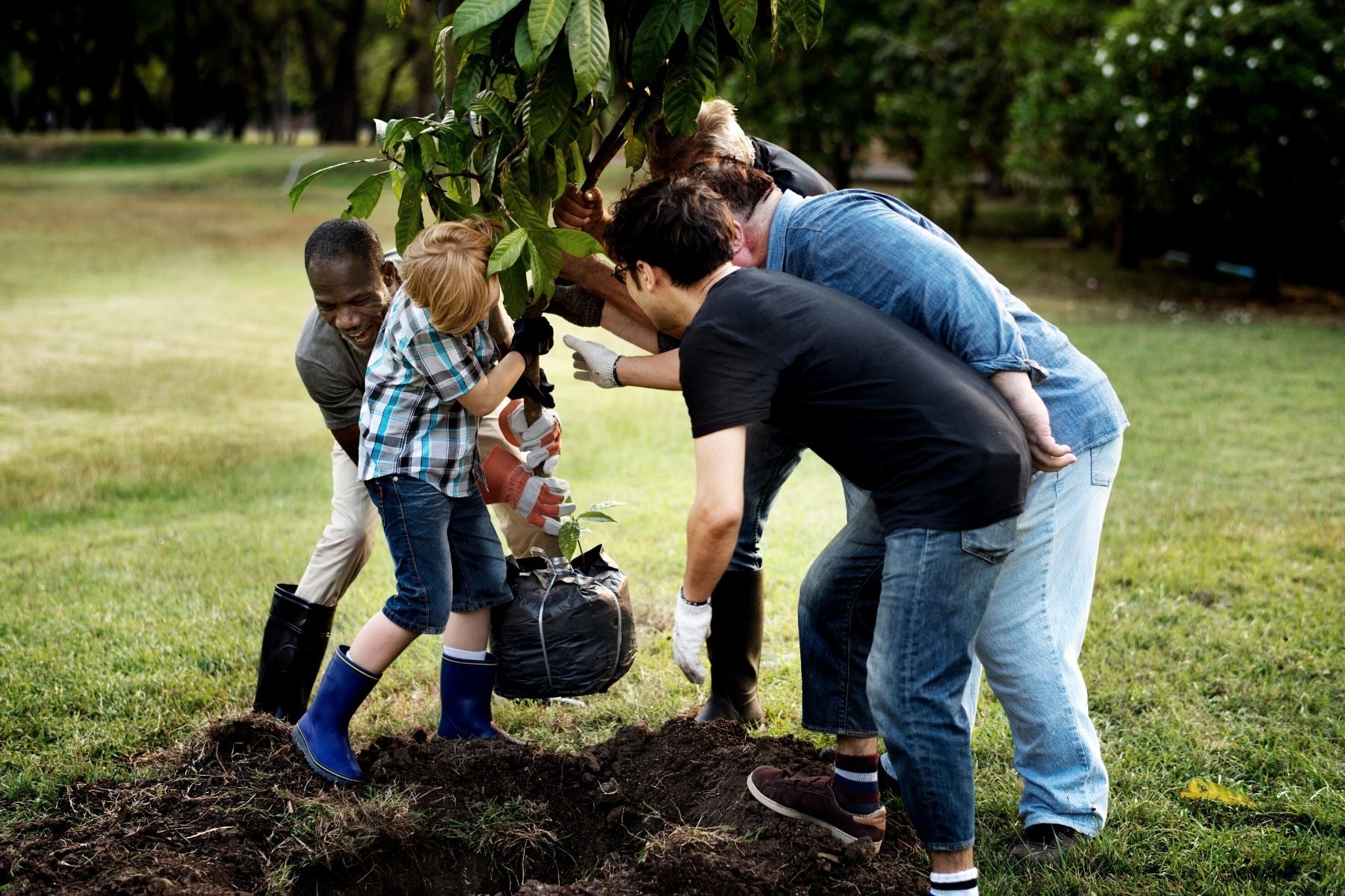 7 Important Fruit Tree Planting Tips for Beginners