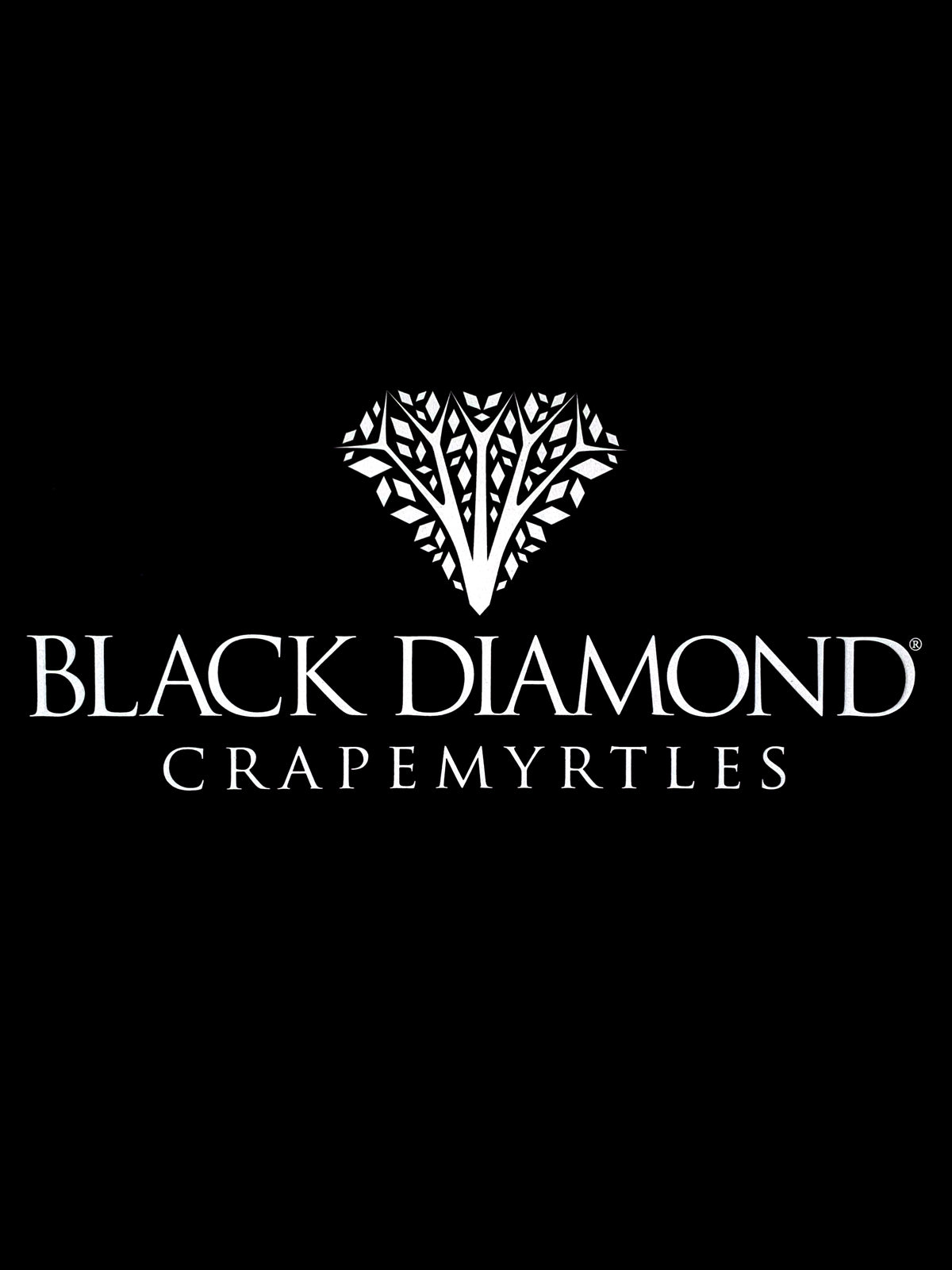 Black Diamond® Crape Myrtles