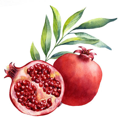 Pomegranate Trees