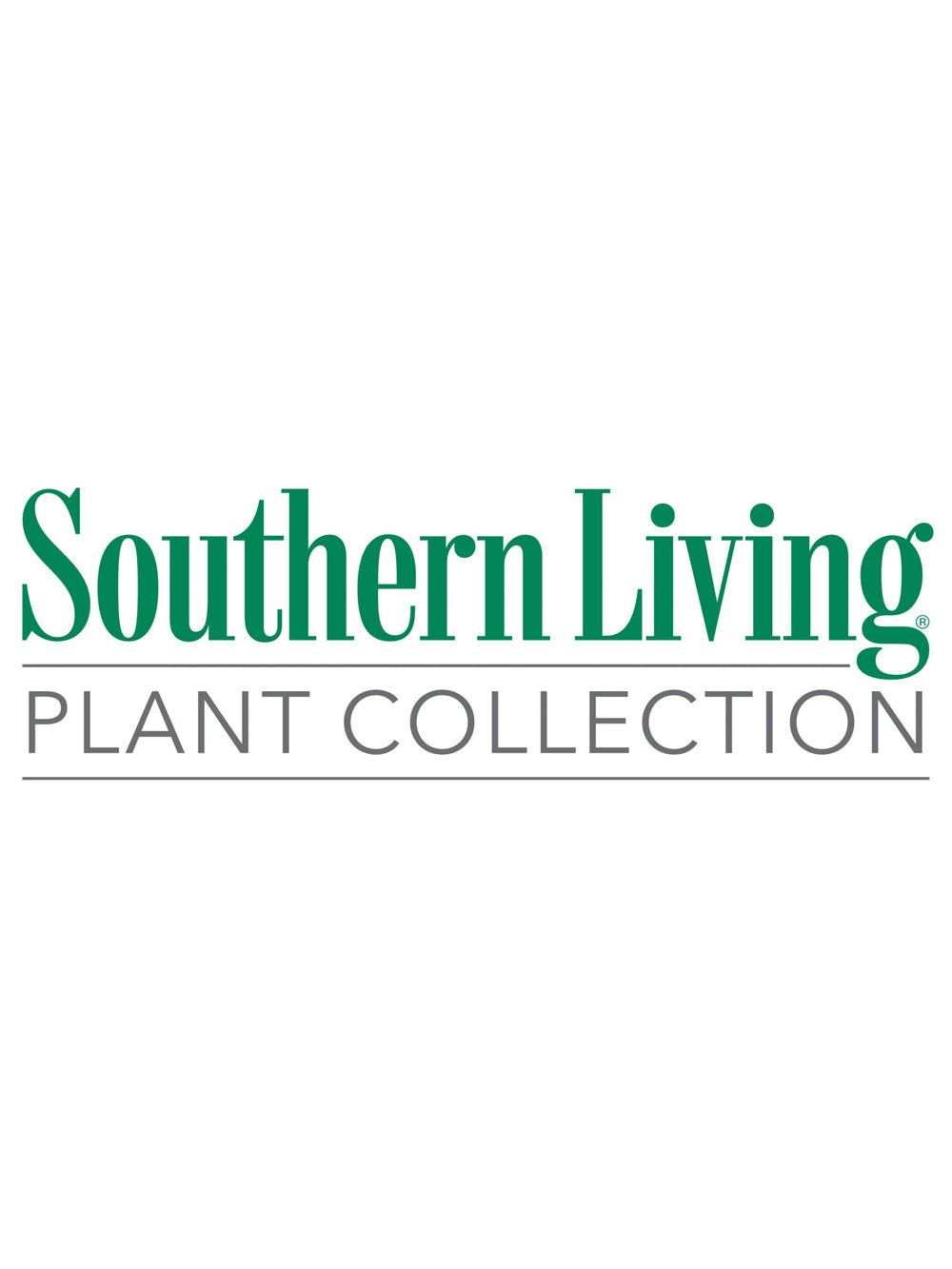 Southern Living® Crape Myrtles