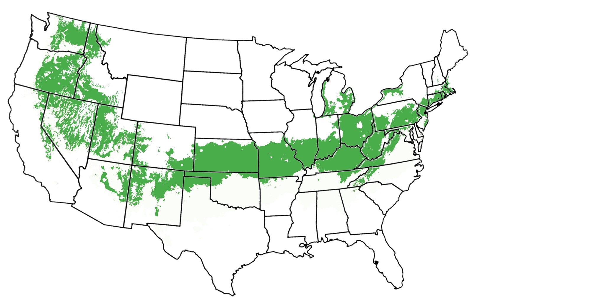 Plants for USDA Zone 6 – Tagged 