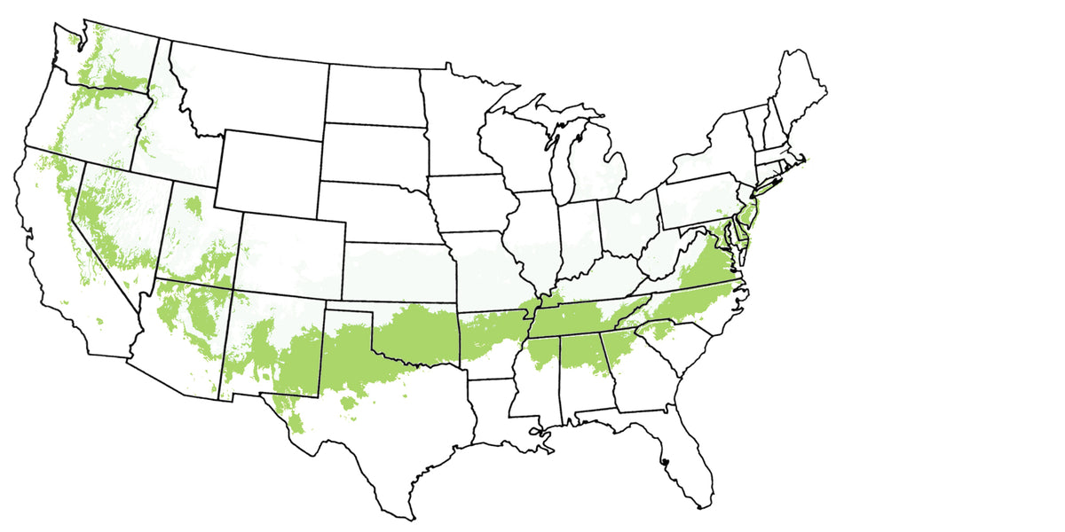 Plants for USDA Zone 7 – Plant Me Green